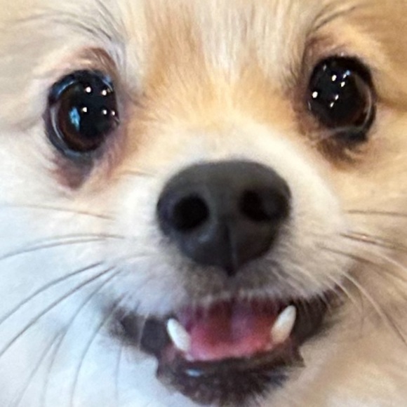 Love reasonable offers❤️ - Picture 1 of 2